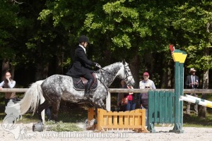 CFCC-2019-00975