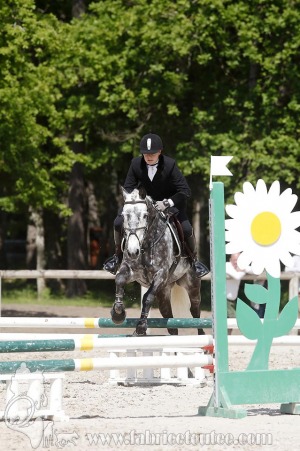CFCC-2019-00978