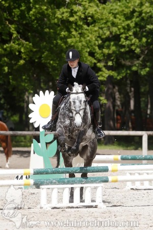 CFCC-2019-00979