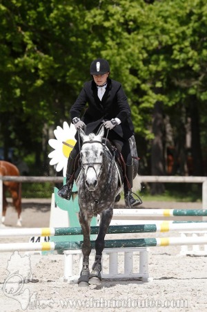 CFCC-2019-00980