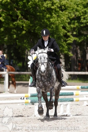 CFCC-2019-00981