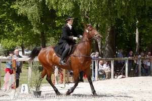 CFCC-2019-00986