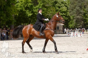 CFCC-2019-00987