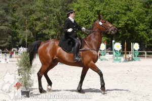 CFCC-2019-00988