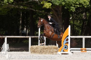 CFCC-2019-00989