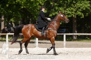CFCC-2019-00992