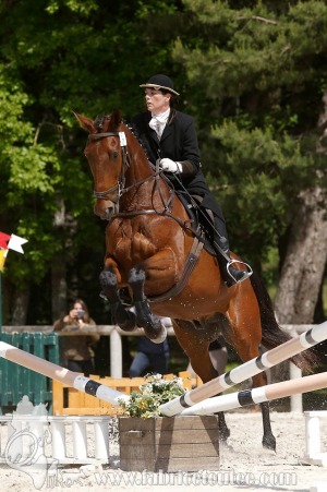 CFCC-2019-00994