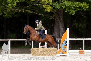 CFCC-2019-01003
