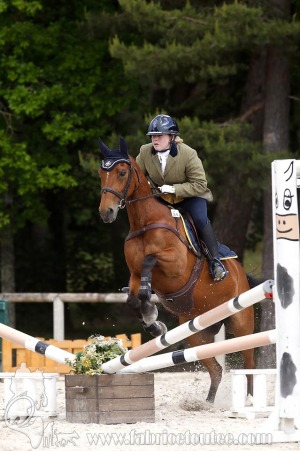 CFCC-2019-01006