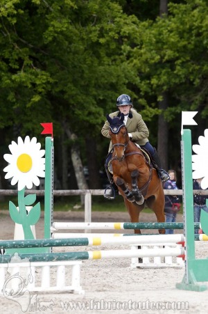 CFCC-2019-01008