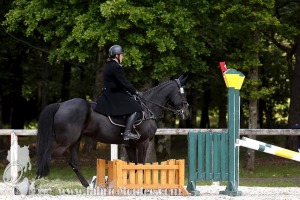 CFCC-2019-01031