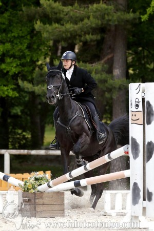 CFCC-2019-01032