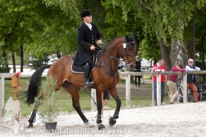 CFCC-2019-01040