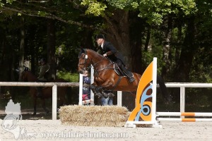 CFCC-2019-01043