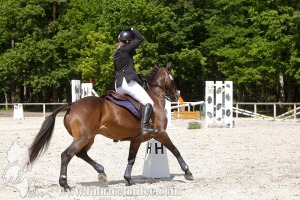 CFCC-2019-01056