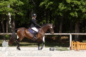 CFCC-2019-01060