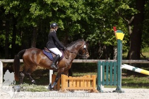CFCC-2019-01061