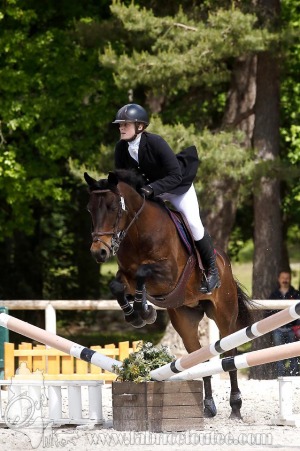 CFCC-2019-01062