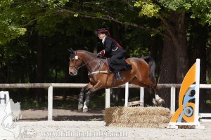 CFCC-2019-01077