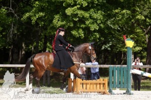 CFCC-2019-01080