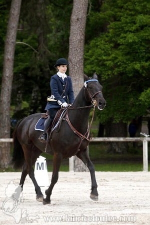 CFCC-2019-00037