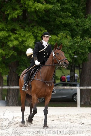 CFCC-2019-00064