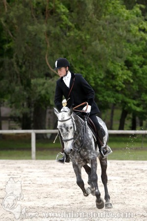 CFCC-2019-00086