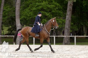 CFCC-2019-00102