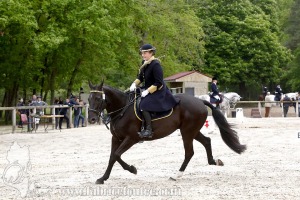 CFCC-2019-00119