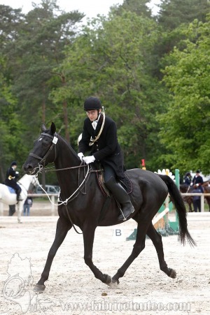 CFCC-2019-00153