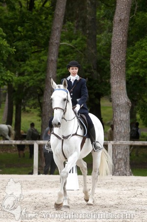 CFCC-2019-00178