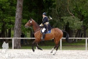 CFCC-2019-00203