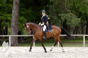 CFCC-2019-00204