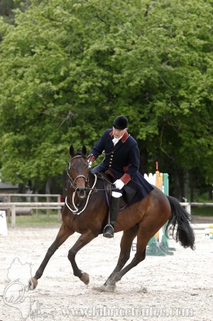 CFCC-2019-00217