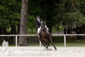 CFCC-2019-00224