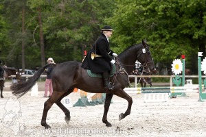 CFCC-2019-00263
