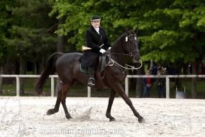 CFCC-2019-00264