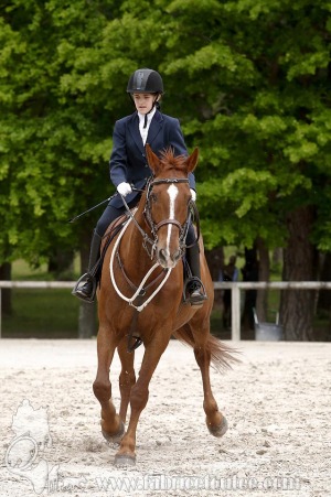 CFCC-2019-00271