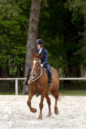 CFCC-2019-00279
