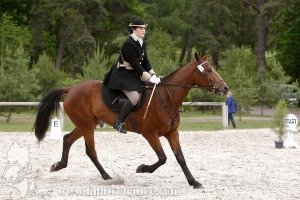 CFCC-2019-00306