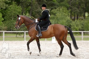 CFCC-2019-00314