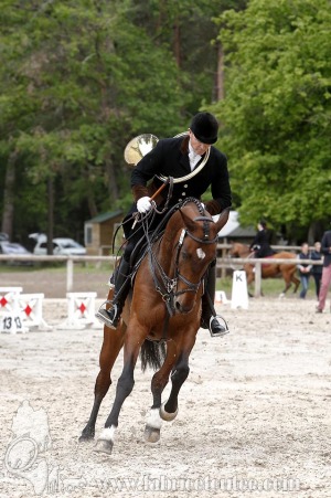 CFCC-2019-00323