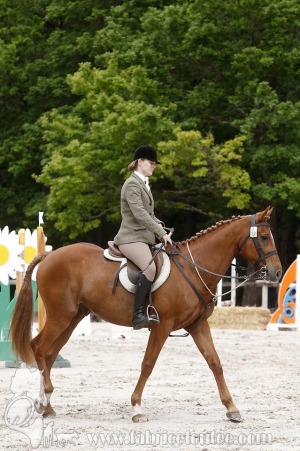 CFCC-2019-00327