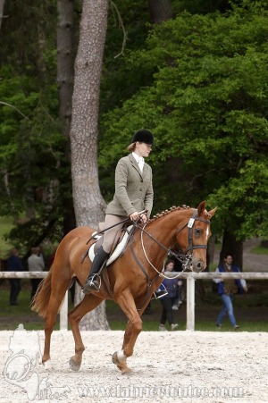 CFCC-2019-00331