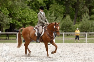 CFCC-2019-00333