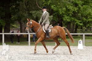 CFCC-2019-00335