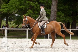 CFCC-2019-00336