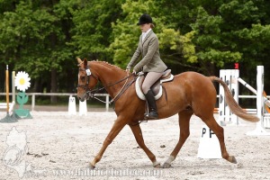 CFCC-2019-00338