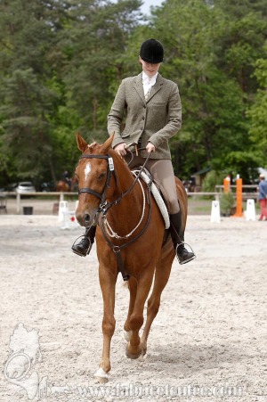 CFCC-2019-00339