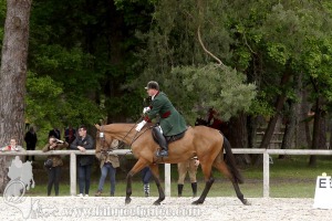 CFCC-2019-00363